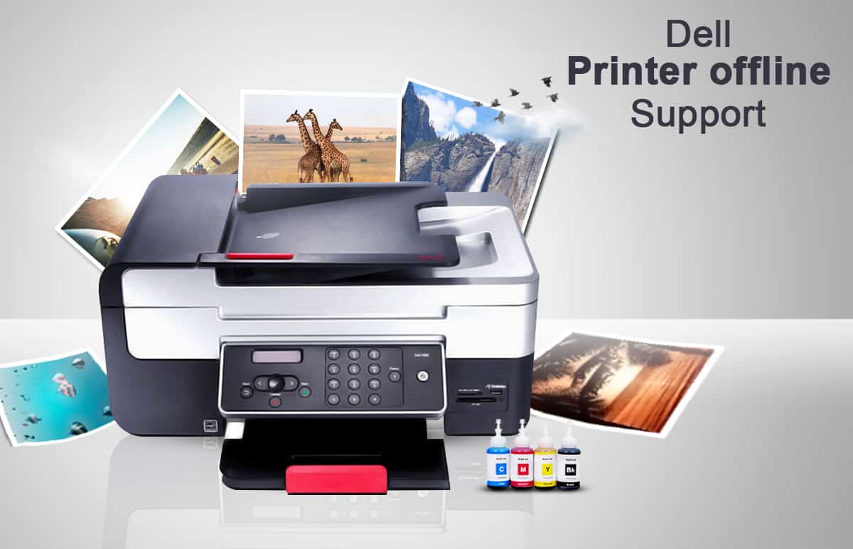 dell printer offline